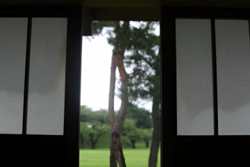 Mirages Screens Maximize Your Outdoor Living Space Comfort!